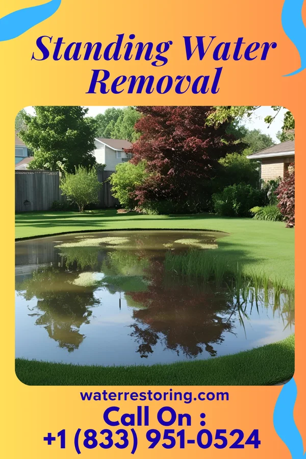 Standing Water Removal in Pleasant Gap, PA
